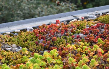the cost of The Wrythe green roof installation